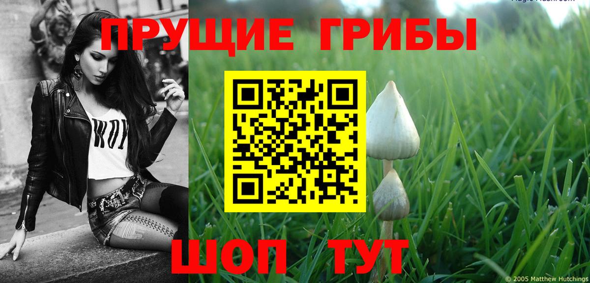 Новосибирск  как найти   Вход с VPN  Галлюциногенные грибы Magic Shrooms 