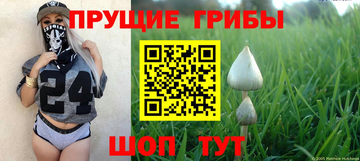 Каннабис Новосибирск